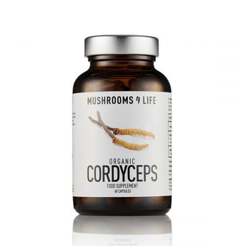 Cordyceps capsules