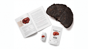 Reishi Spore capsules-1