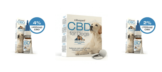 CBD honden