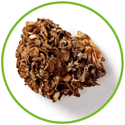 maitake eikhaas